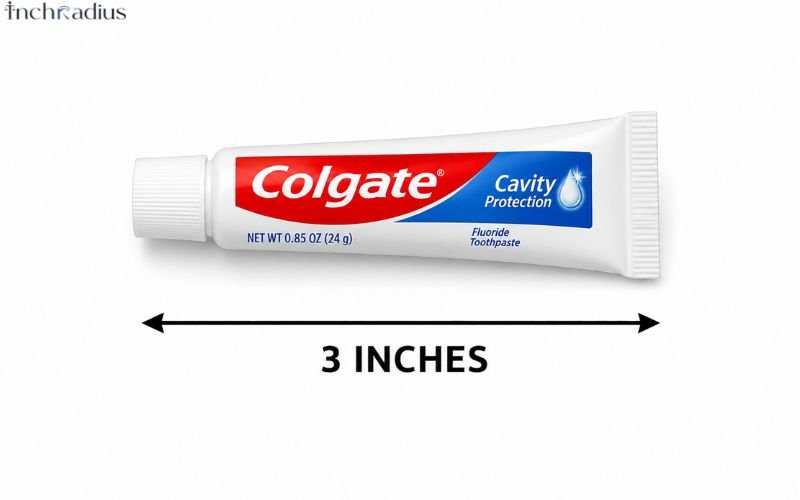 How Long Is 3 Inches