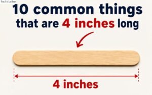 How Long Is 4 Inches