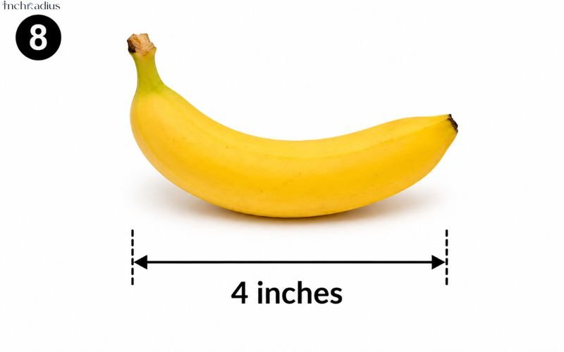 How Long Is 4 Inches