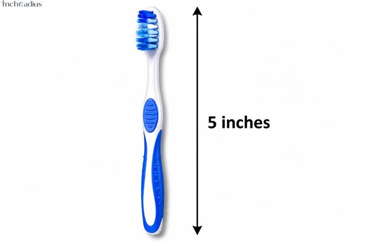How Long Is 5 Inches