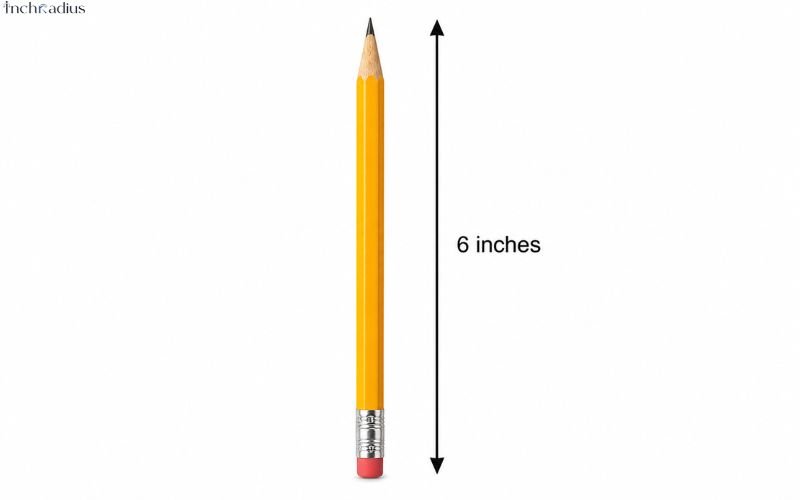How Long Is 6 Inches