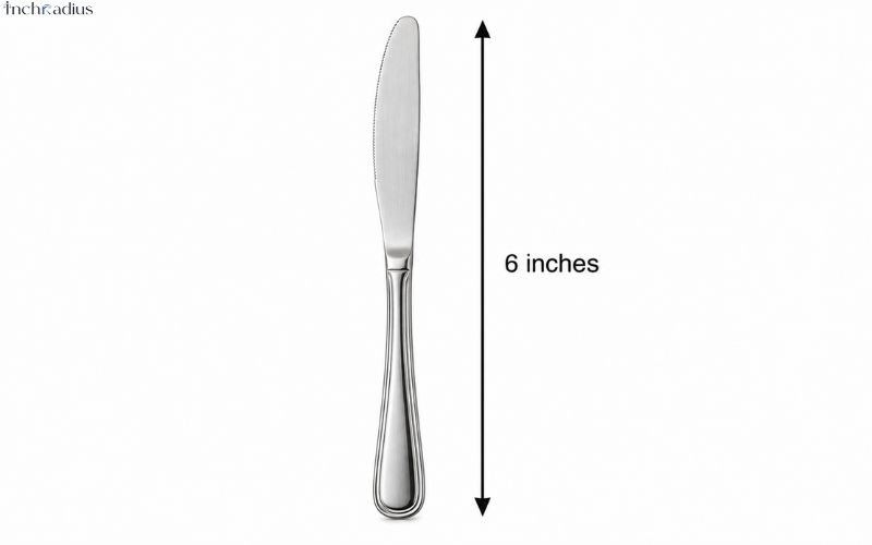 How Long Is 6 Inches