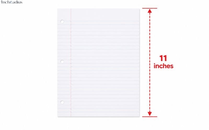 How Long Is 11 Inches