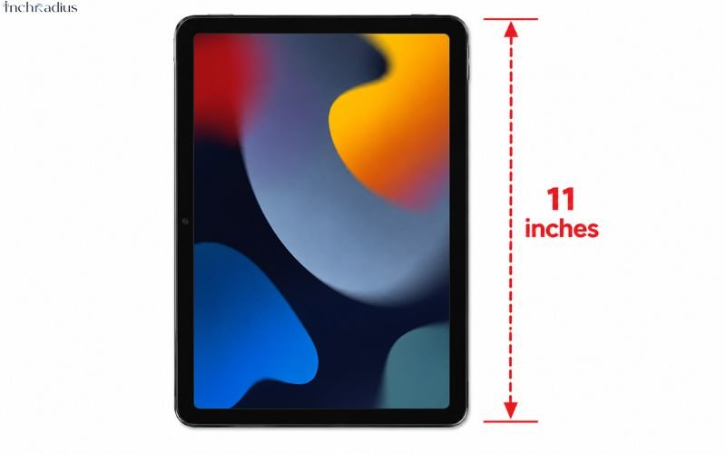 How Long Is 11 Inches