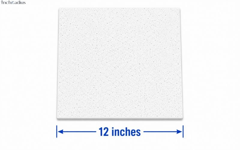 How Long Is 12 Inches