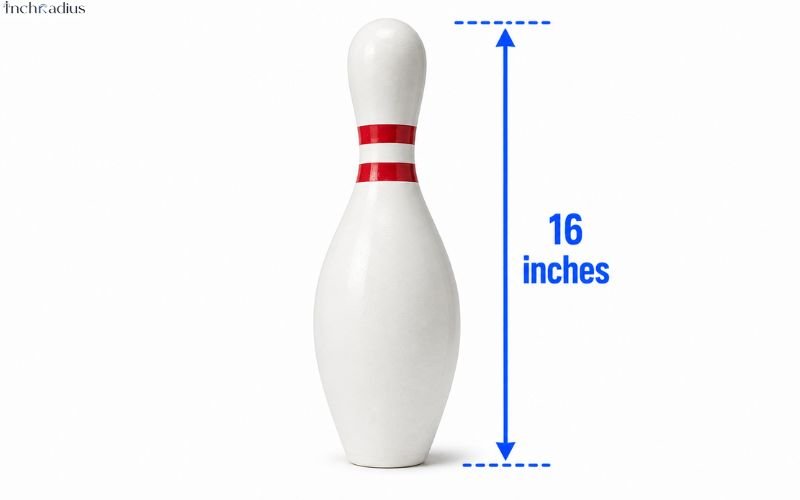 How Long Is 16 Inches