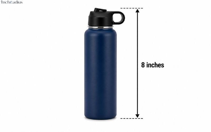 How Long Is 8 Inches