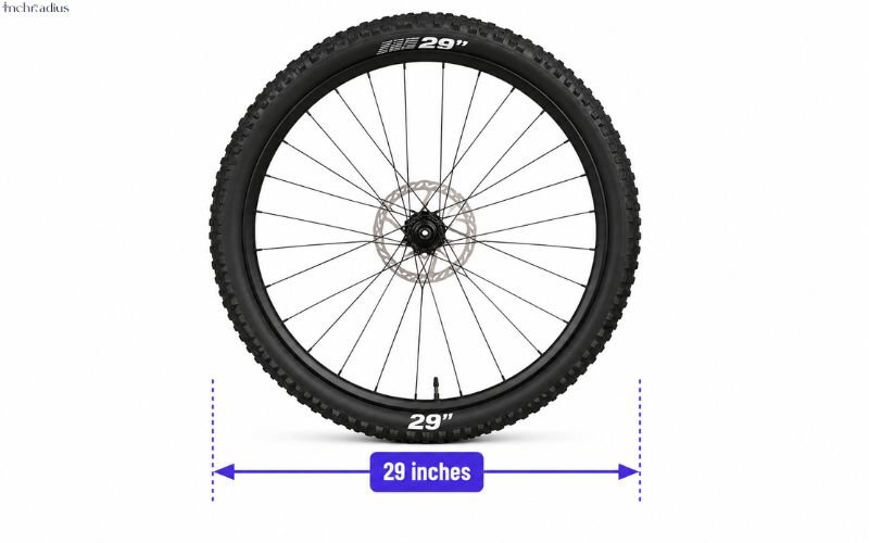 How Long Is 29 Inches