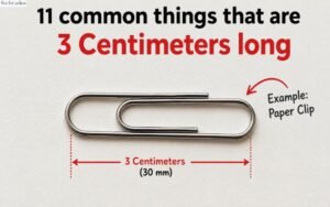 How Long Is 3 Centimeters