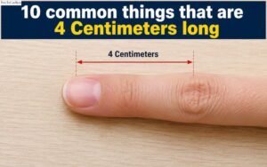 How Long Is 4 Centimeters