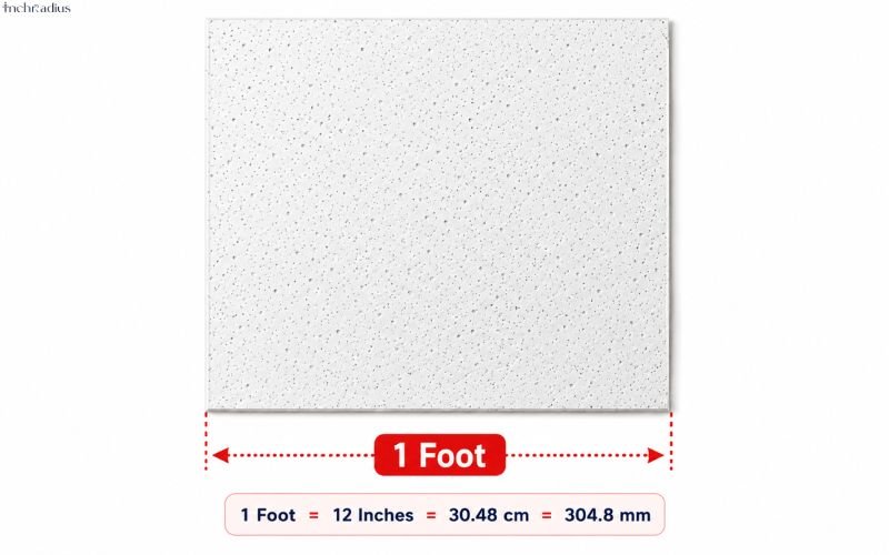 How Long Is a Foot