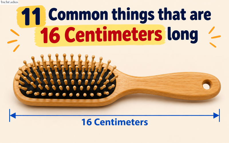 How Long Is 16 Centimeters